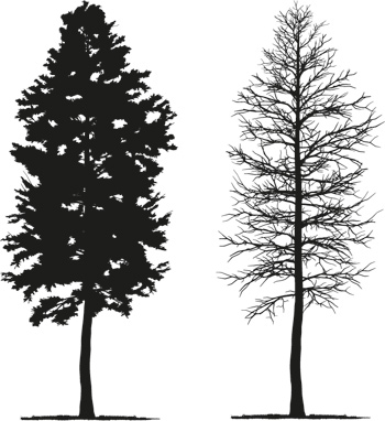 Voorman Samenhangend Berouw Zelf (model)bomen maken | Modeltreinen blog